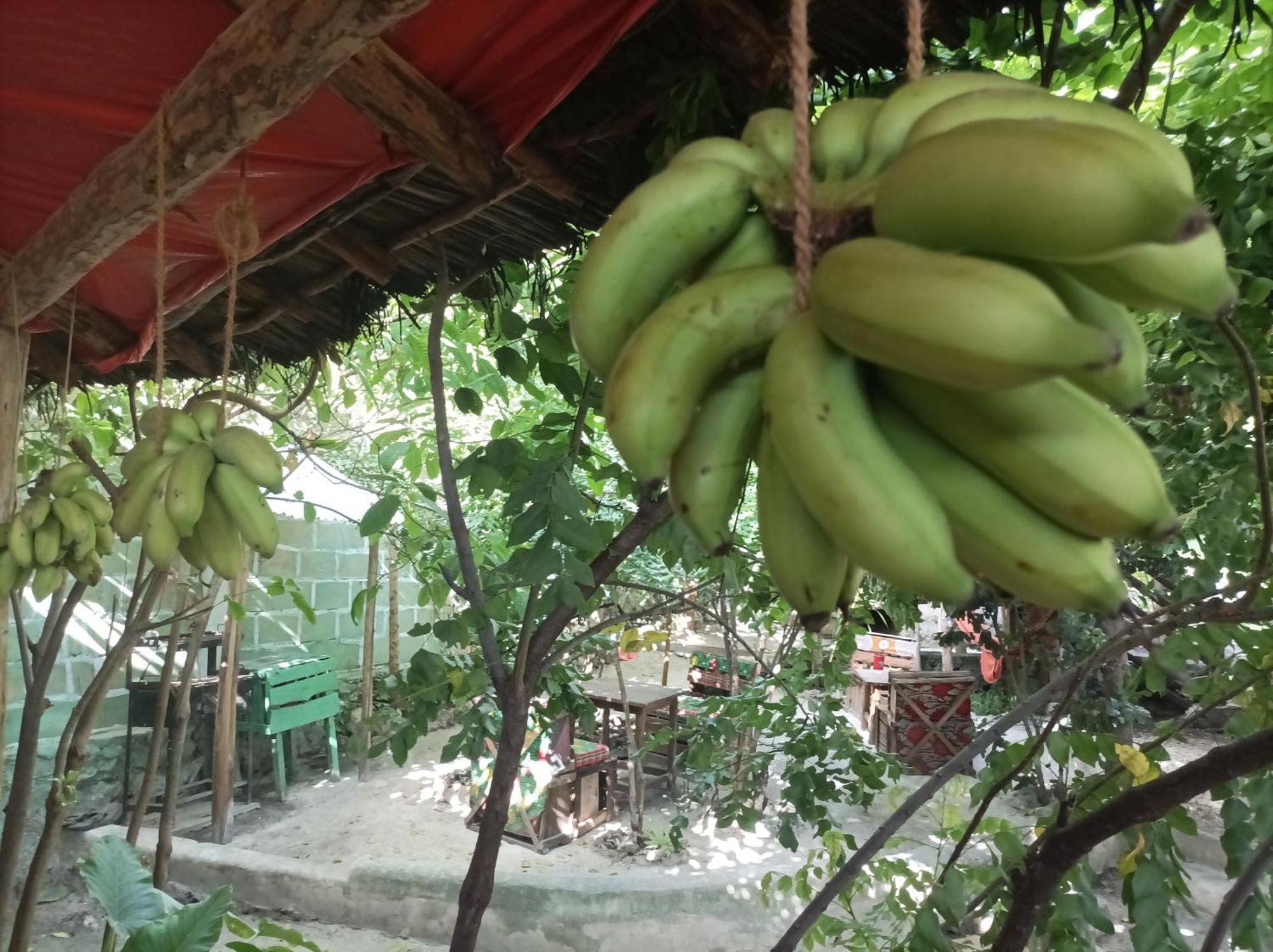 Mamarasta Bed & Breakfast Bwejuu Exterior photo